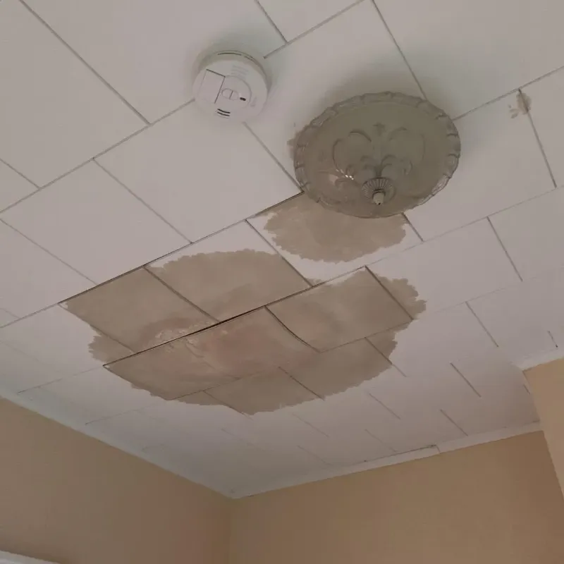 Ceiling Water Damage Repair in Kendall County, TX