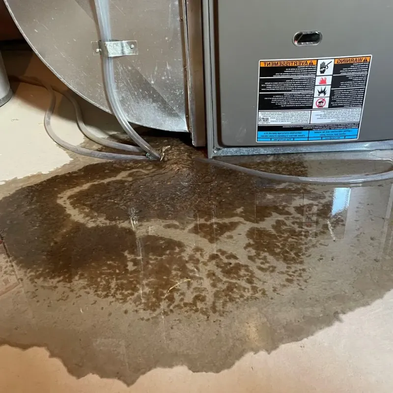 Pipe Burst and Leak Restoration in Kendall County, TX