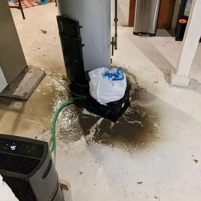 Sewage Backup Cleanup Service in Kendall County, TX